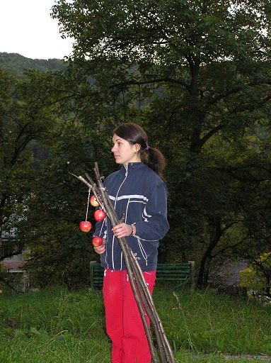 Посвята 2004