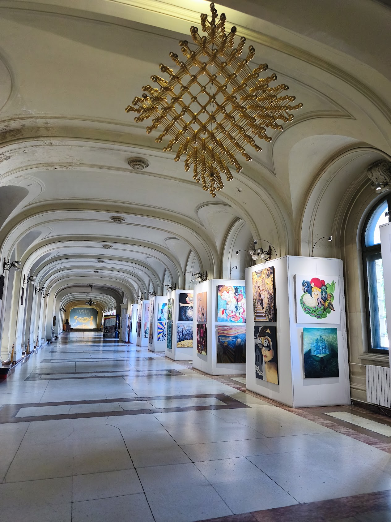 Світлина 5