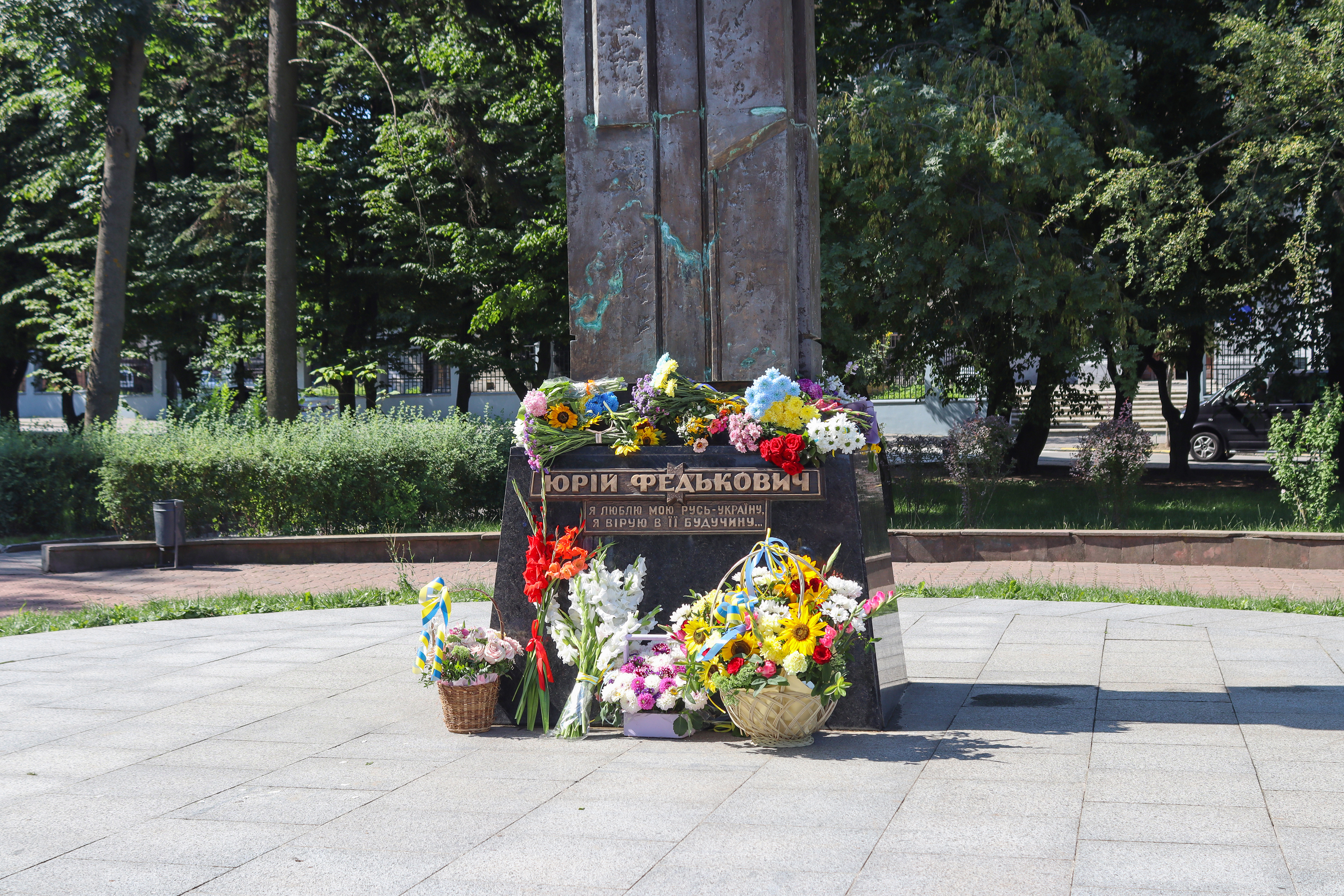 Світлина 12
