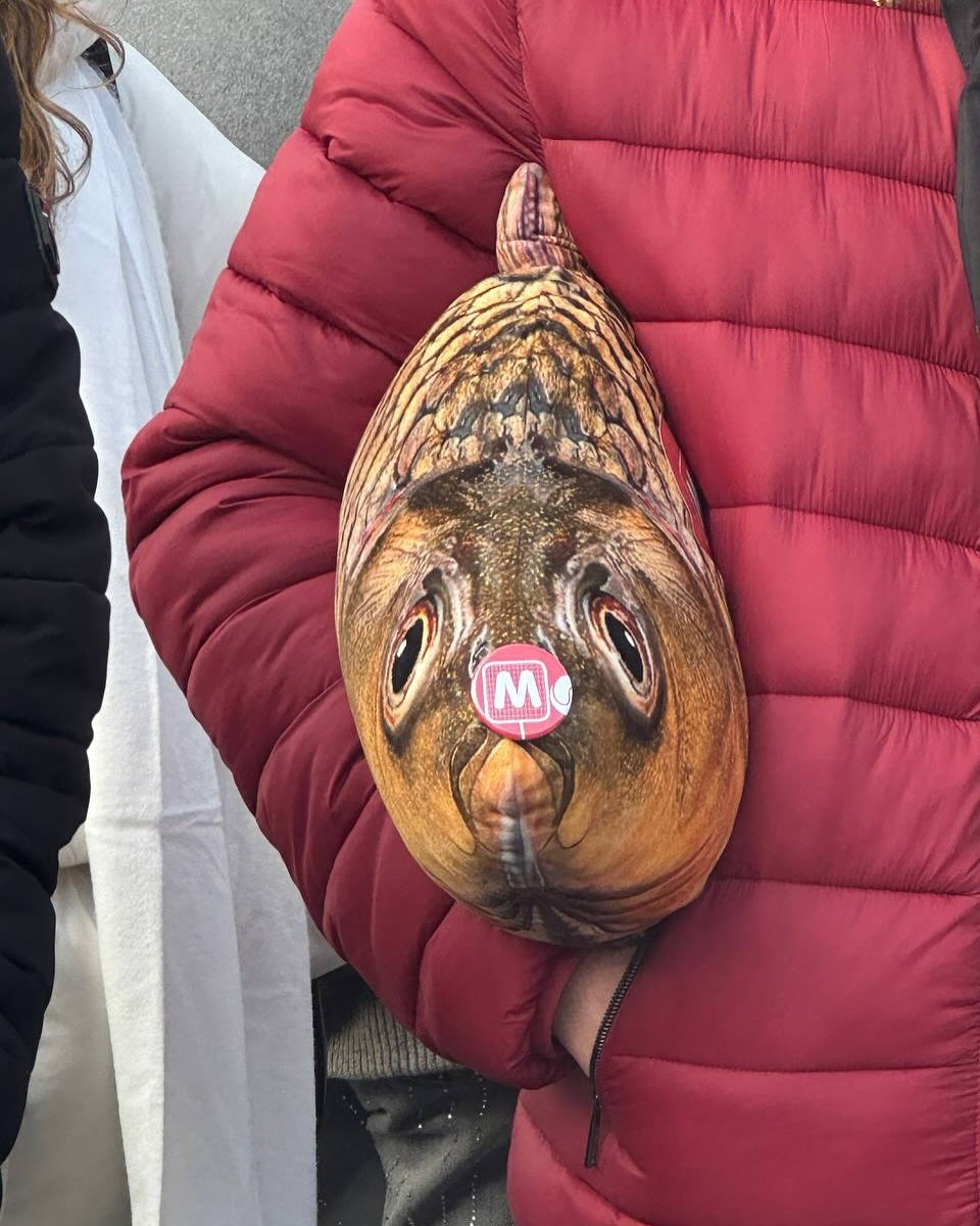 Будапешт та Відень
