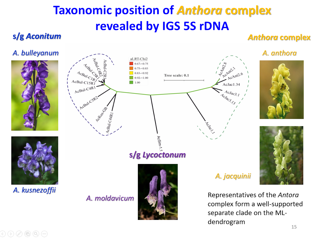 1665573584968_image