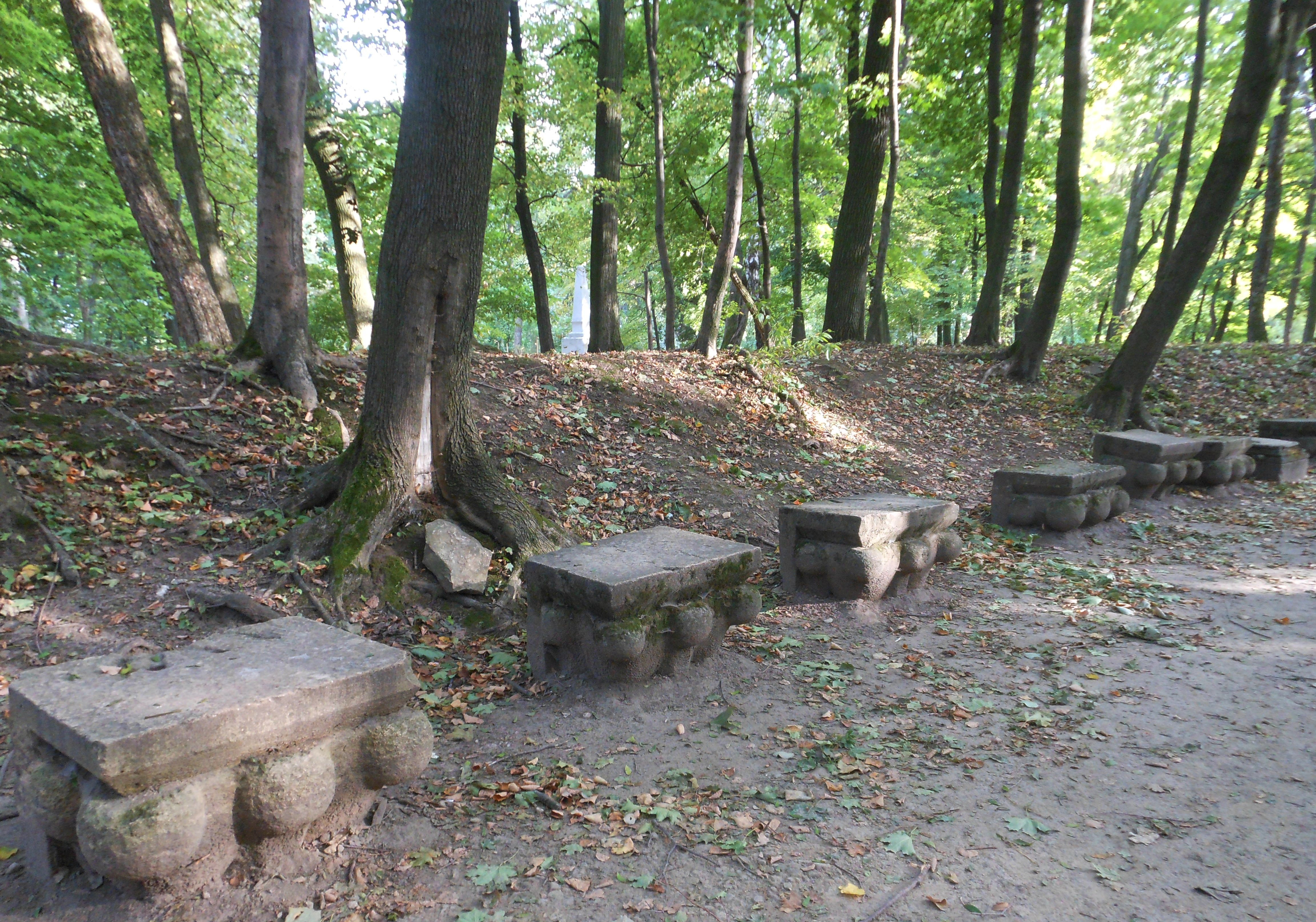 dendropark-2