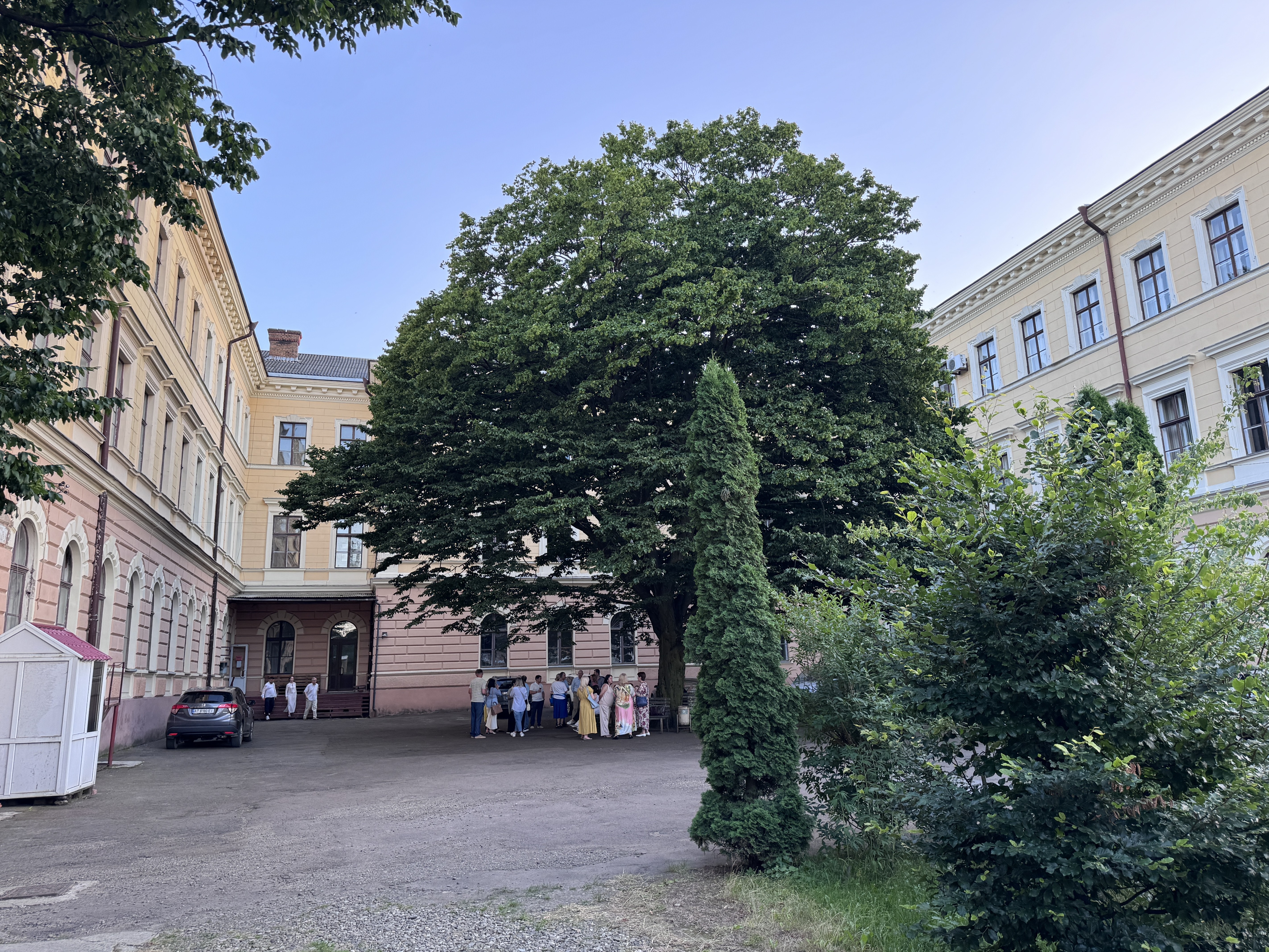 Світлина 7