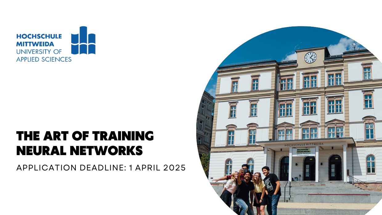 The Art of Training Neural Networks