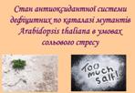 Рослини за дії сольового стресу 