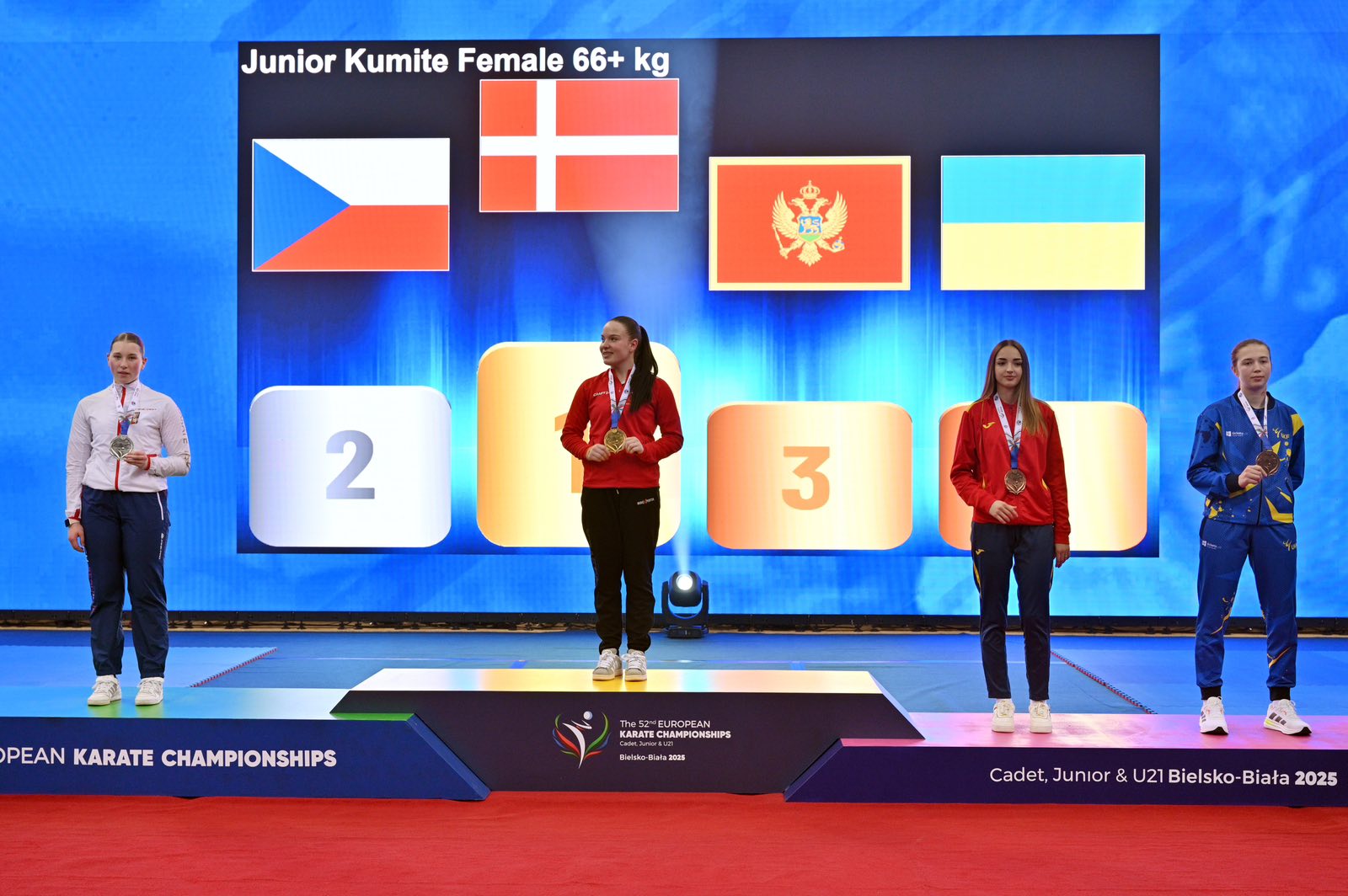 Чемпіонат Європи з карате