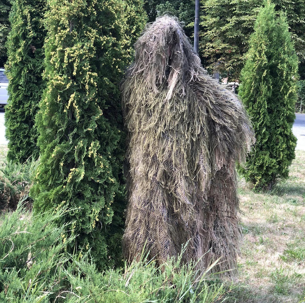 Сітковий батальйон