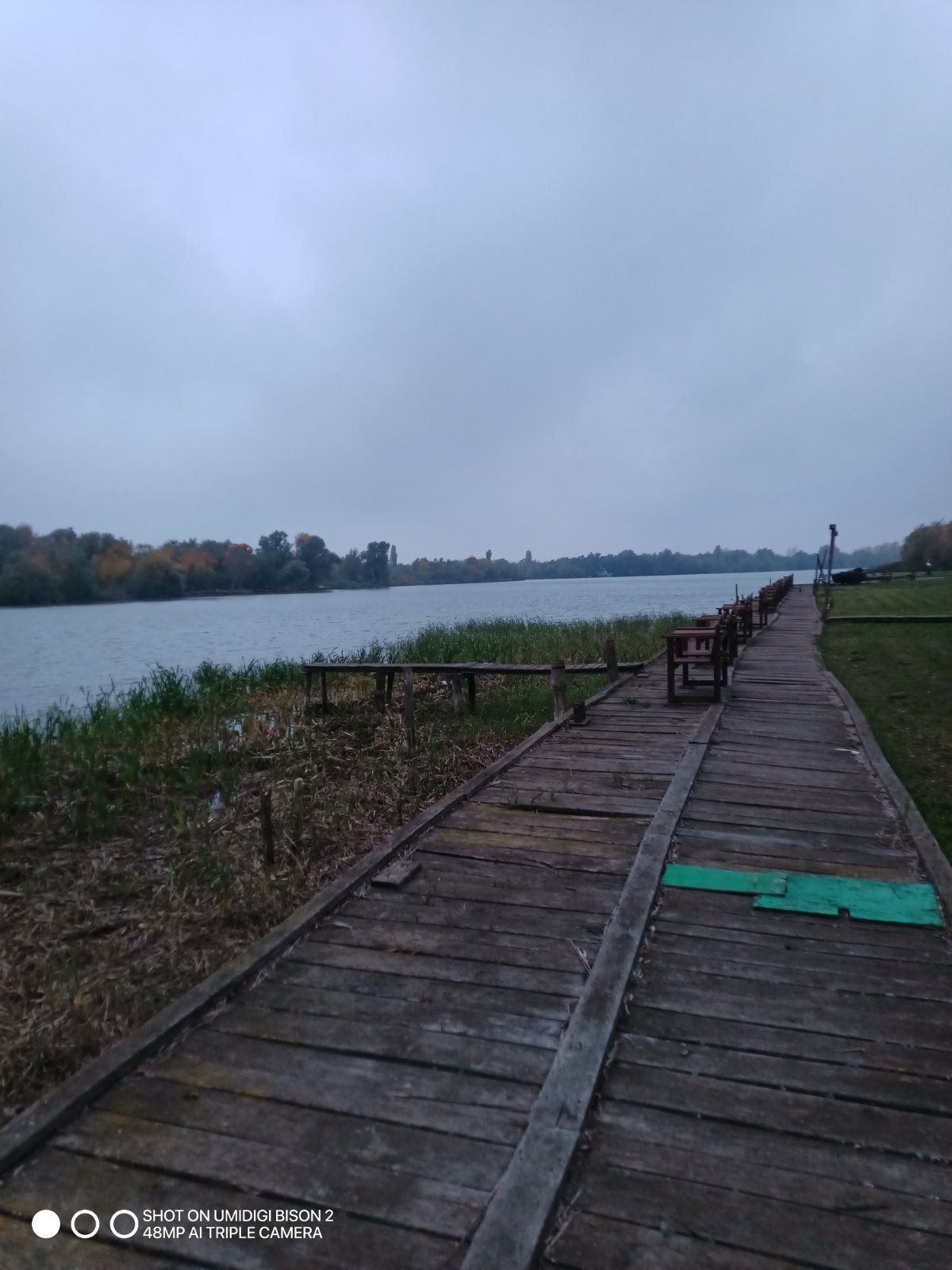 Світлина 6