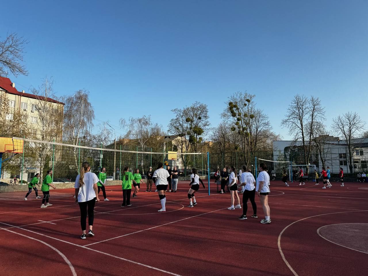 Світлина 5