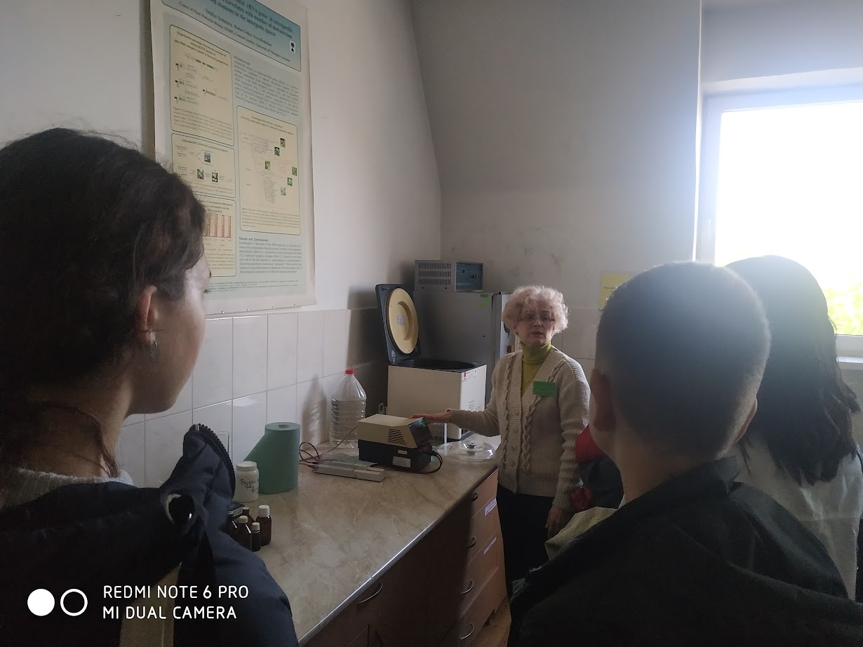 Світлина 5