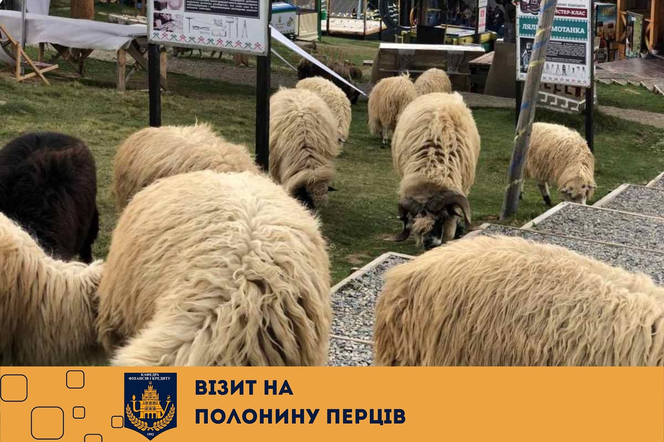 А ви були на Полонині Перців?