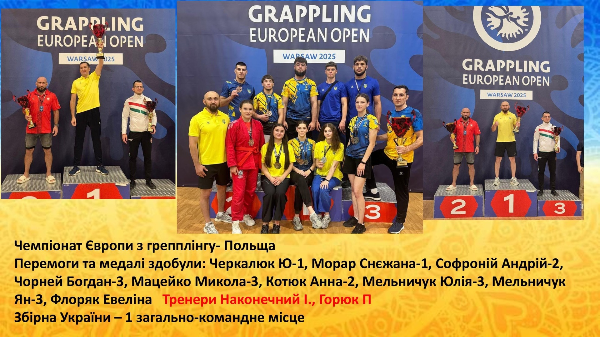 na-sayt-2025-ost-dlya-kafedry-1-_00009