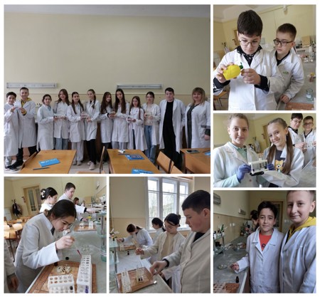 photo-output-22