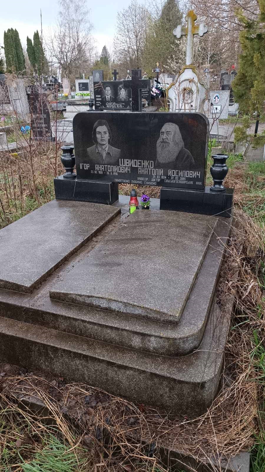 швиденко