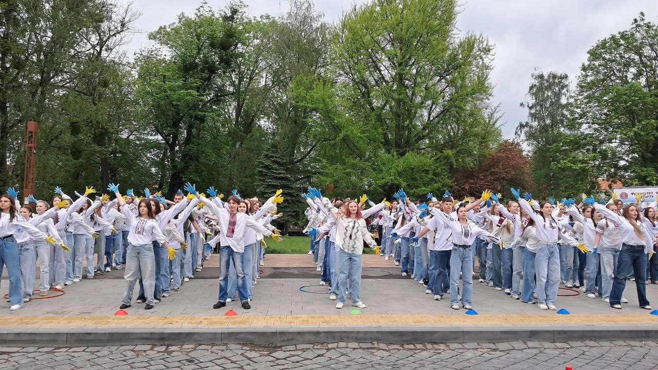 Світлина 8