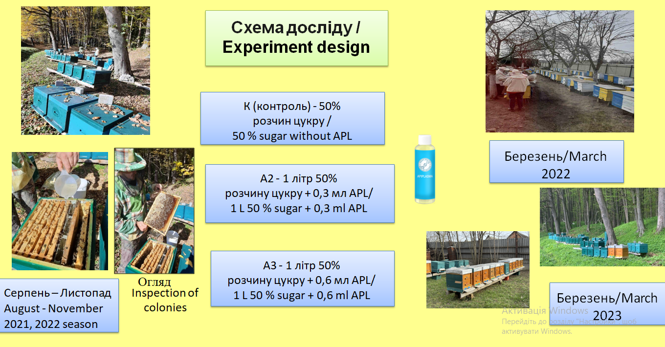 Світлина 3