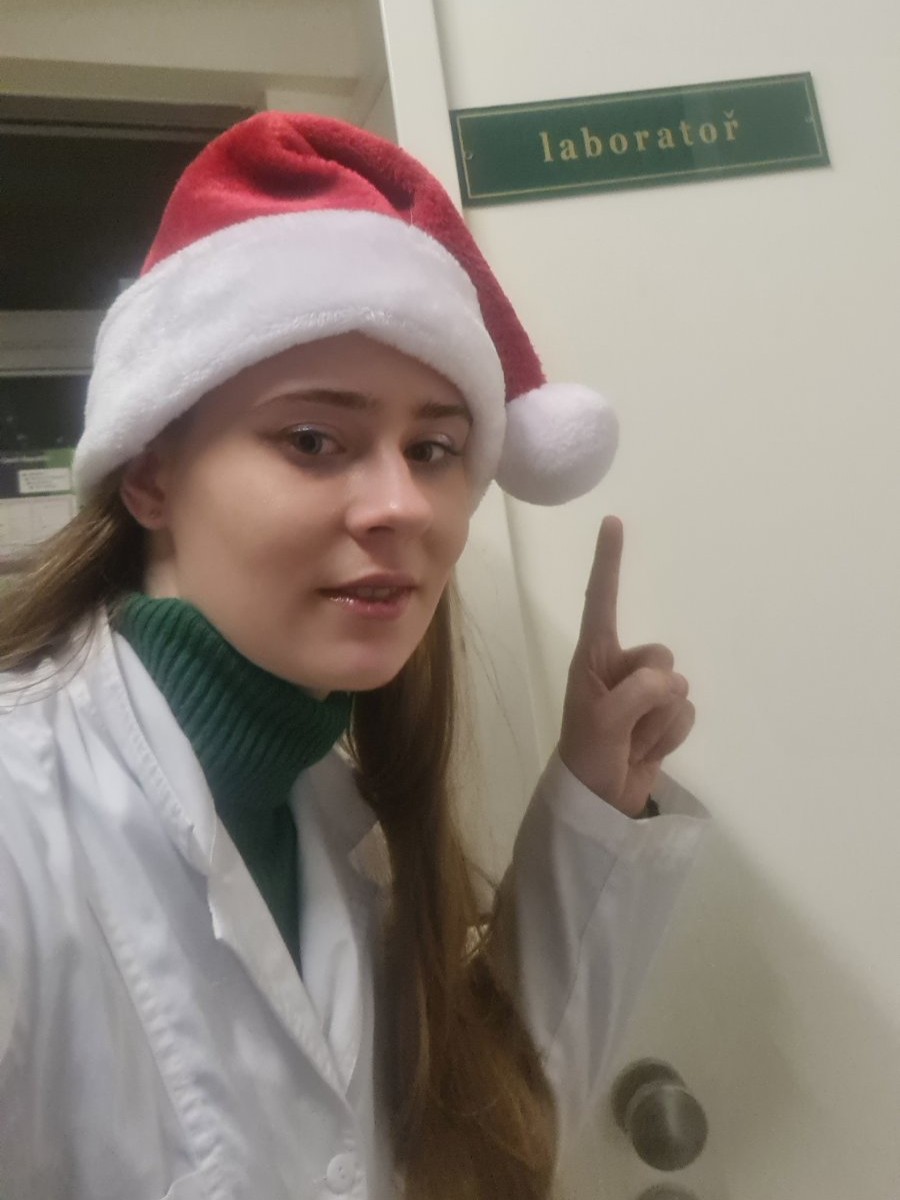 Світлина 1
