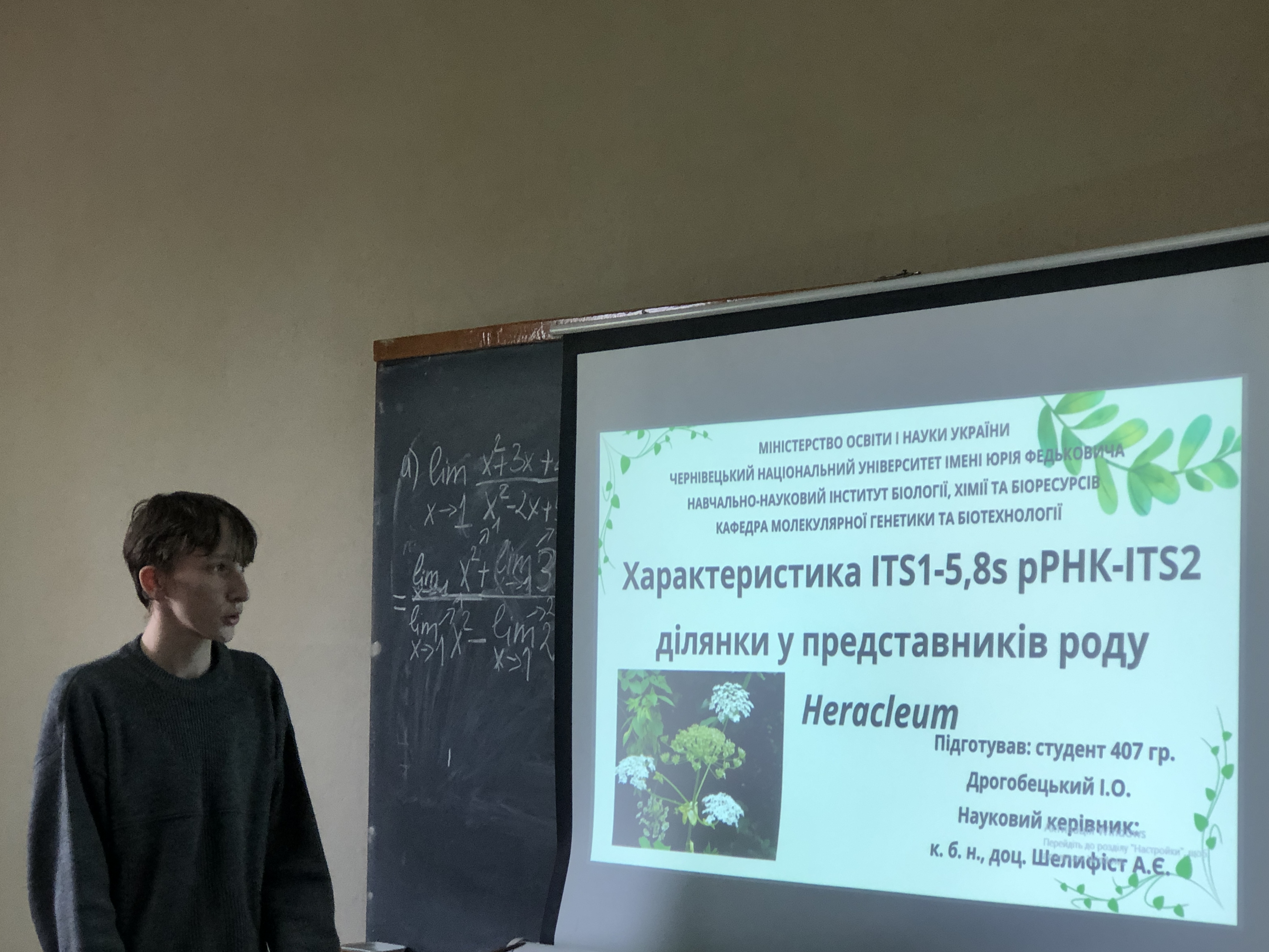 Світлина 12 