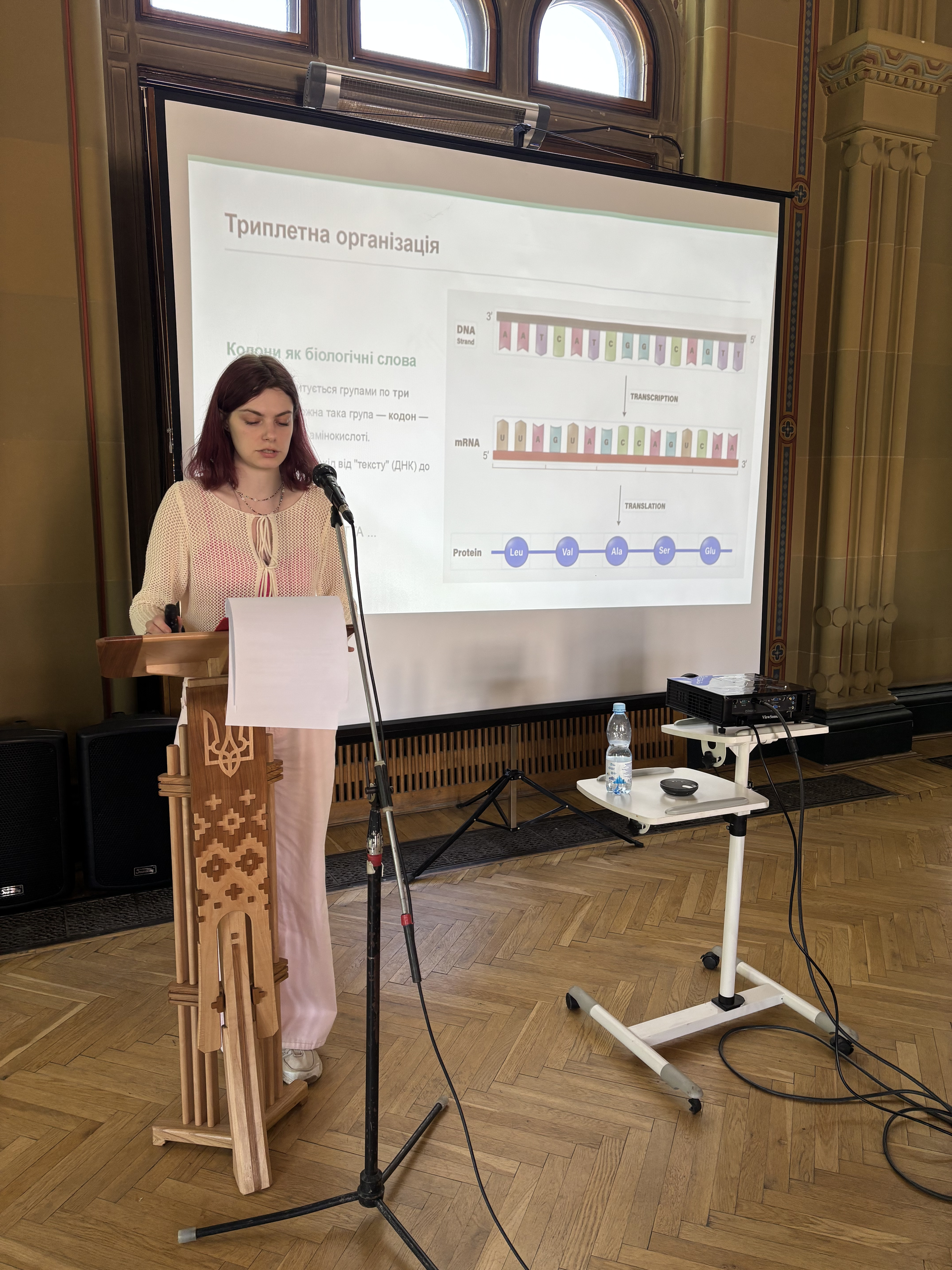 Світлина 1