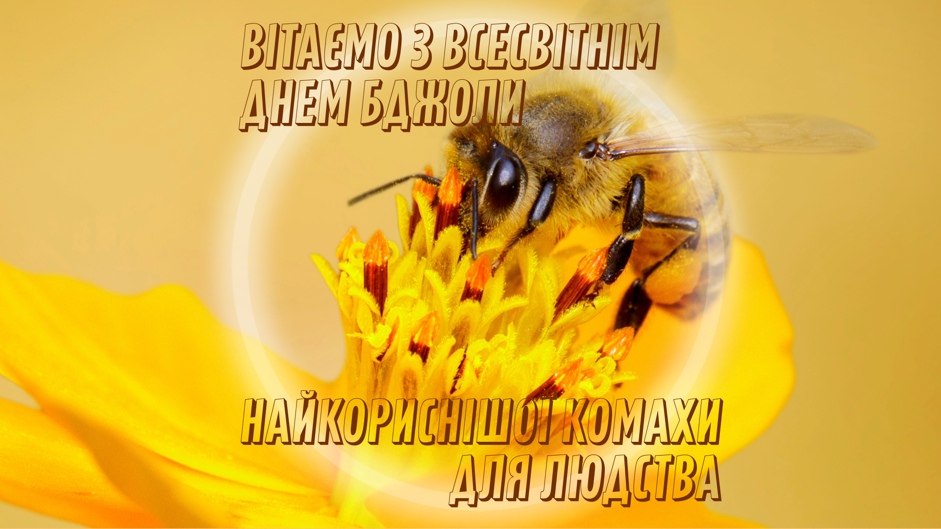 20 травня - Всесвітній день бджоли
