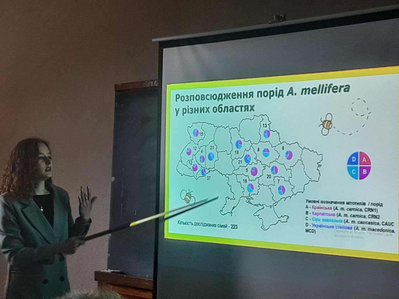 Світлина 1 