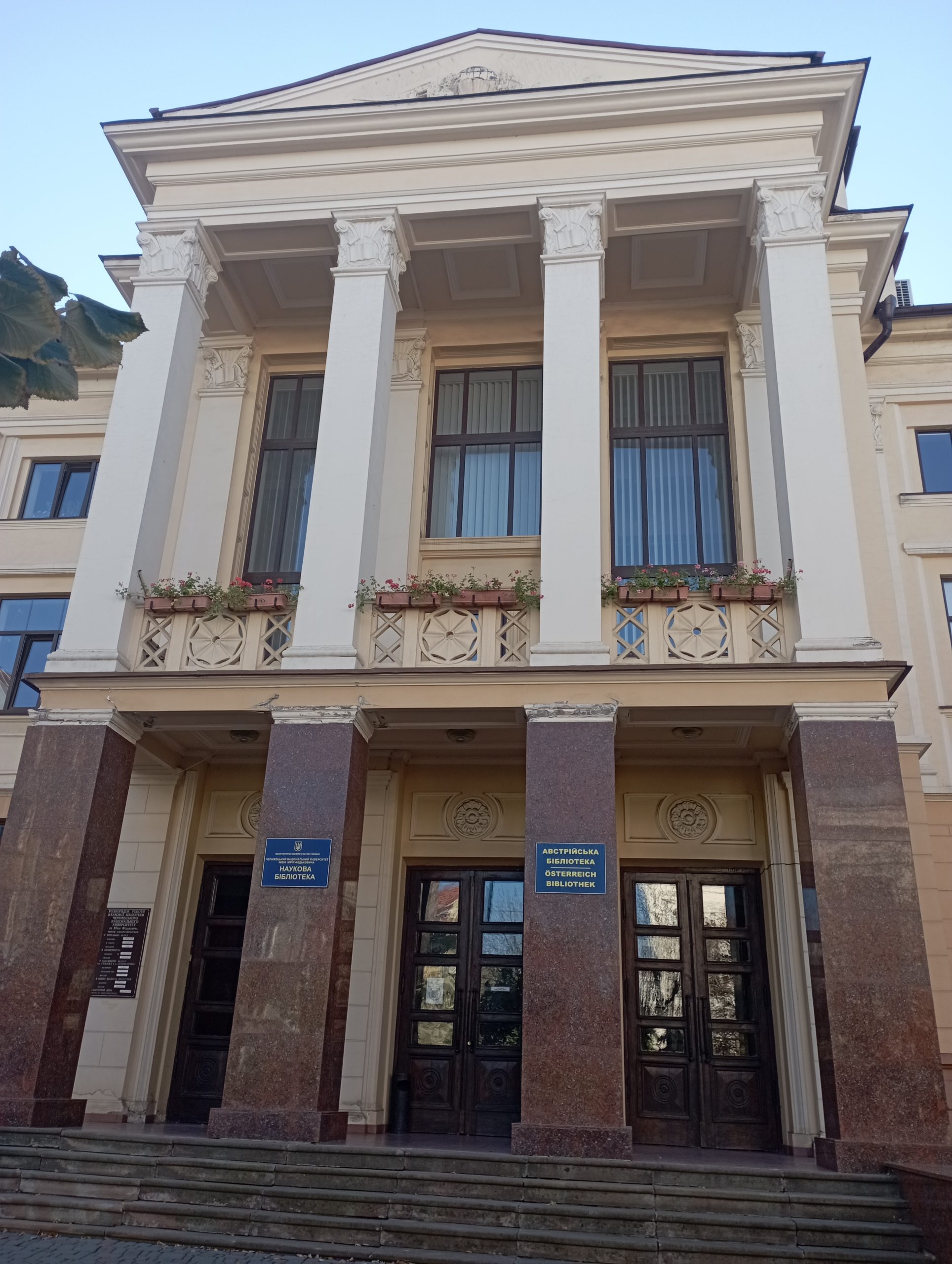 Світлина 1
