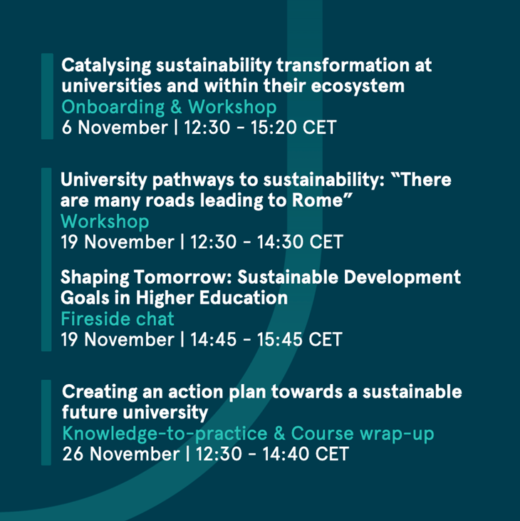 structure-of-the-course-6-26-november-2024
