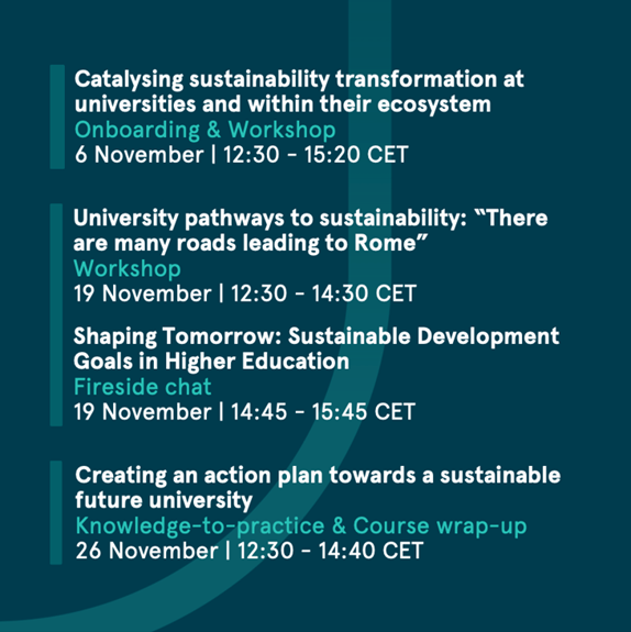 structure-of-the-course-6-26-november-2024