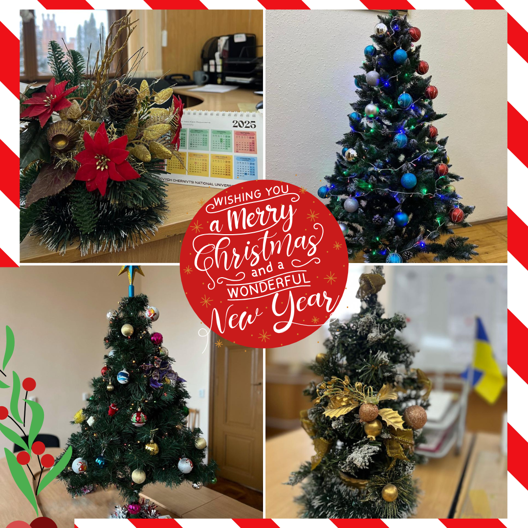 Happy New Year and Merry Christmas! Frohe Weihnachten und ein gutes neues Jahr !  Joyeux Noël !  Feliz Navidad !