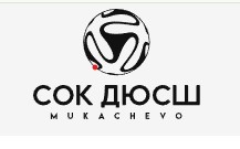 Мукачівський спортивно-оздоровчий комплекс дитячої юнацької спортивної школи Мукачівської міської ради Закарпатської області 