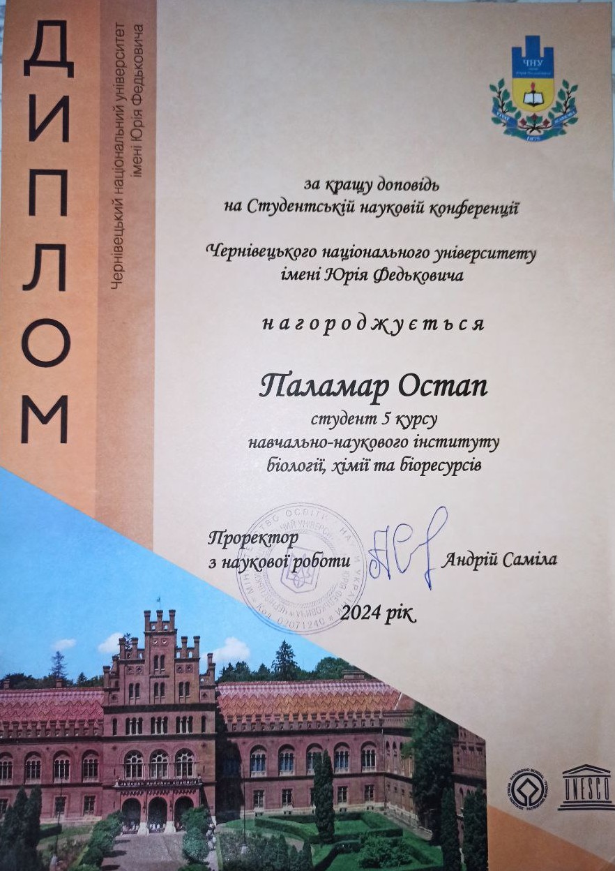 Світлина 2