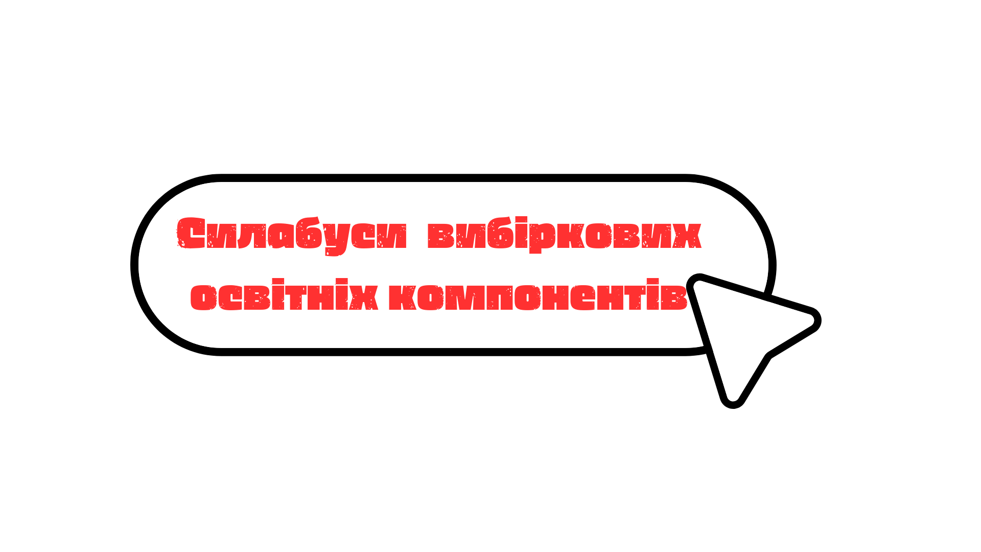sylabusy-vybirkovykh-osvitnii-komponentiv
