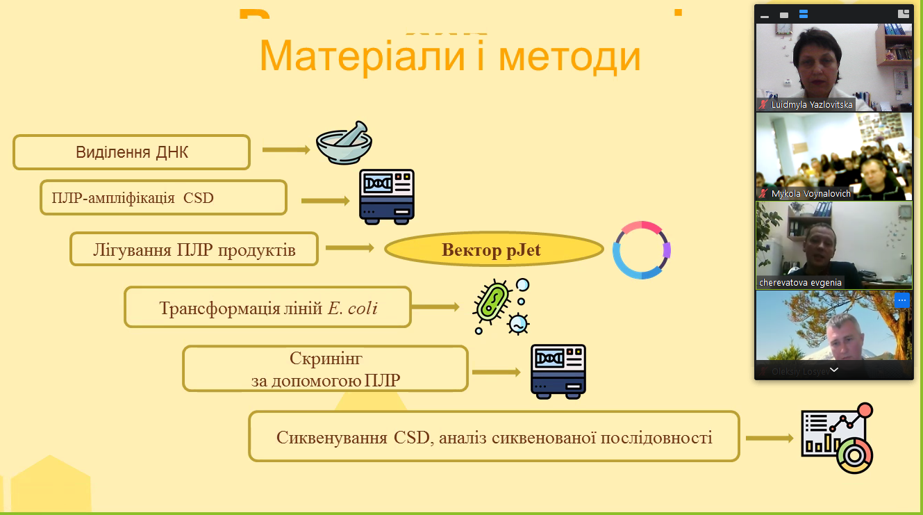 Світлина 3
