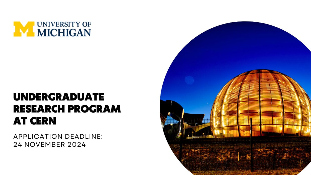 Undergraduate Research Program at CERN