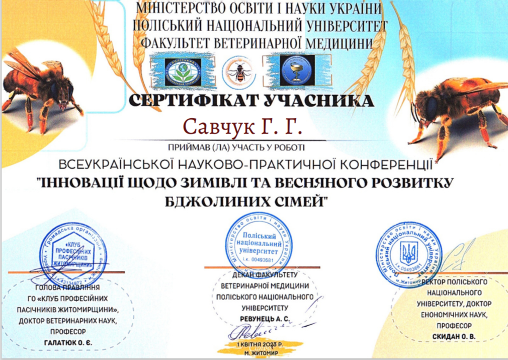 Світлина 2