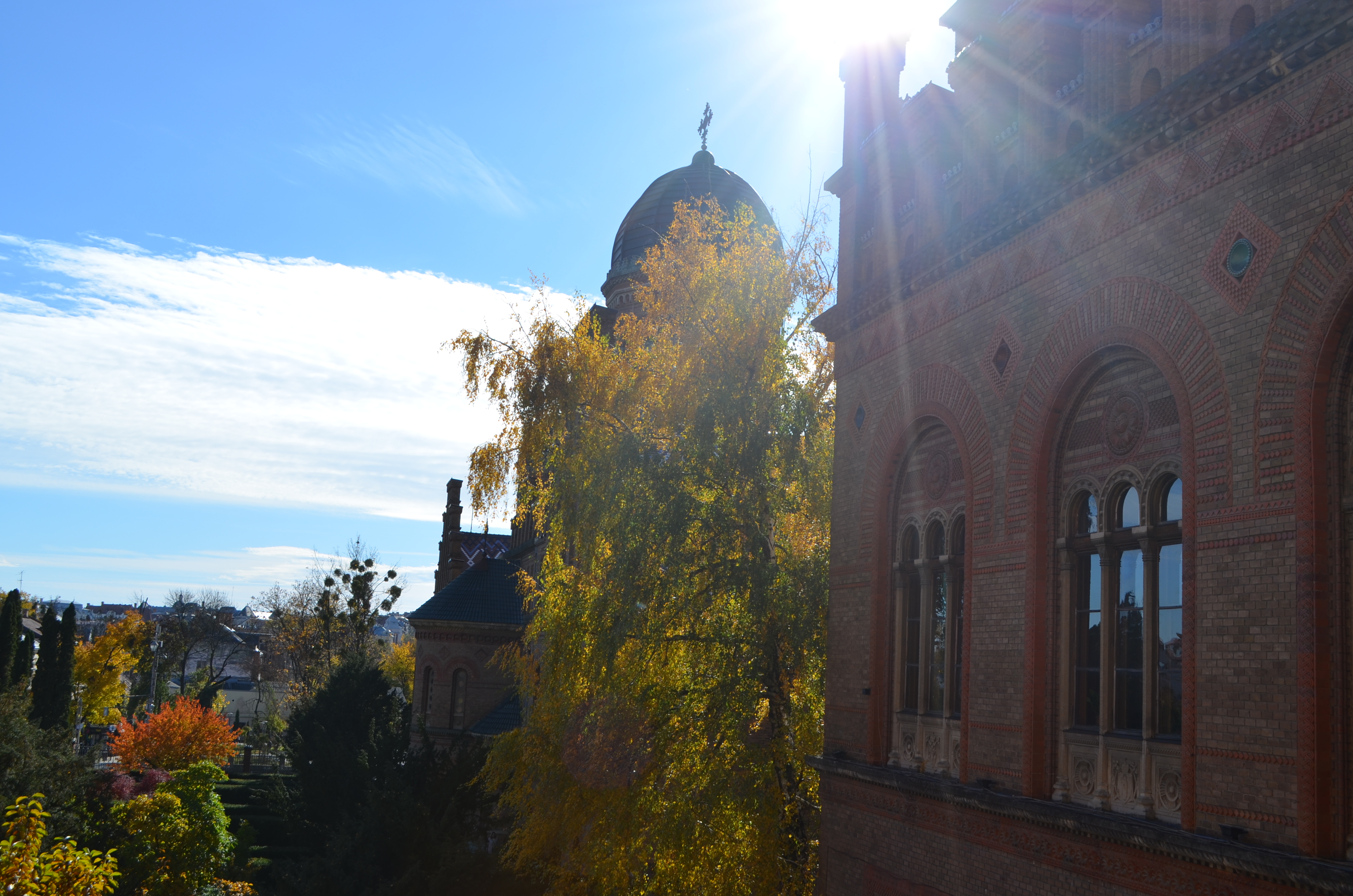 ЧНУ в проєкті «Цифровий університет»