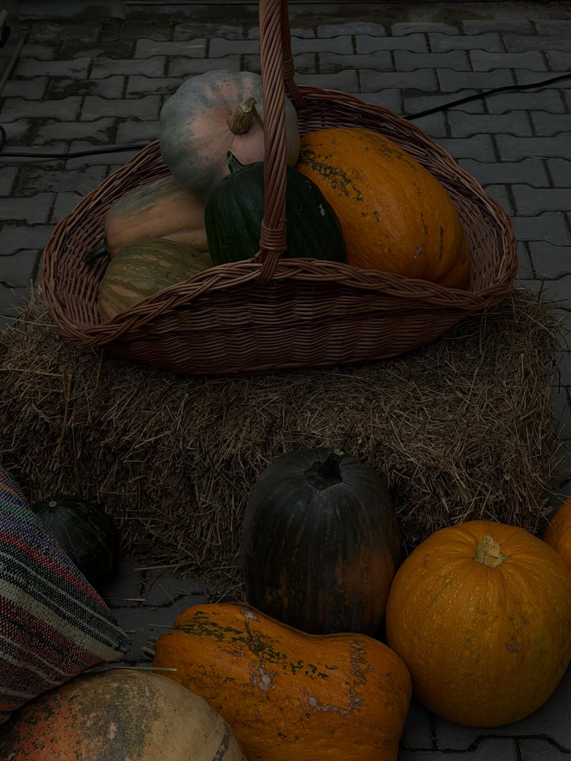 ФОТОЗВІТ