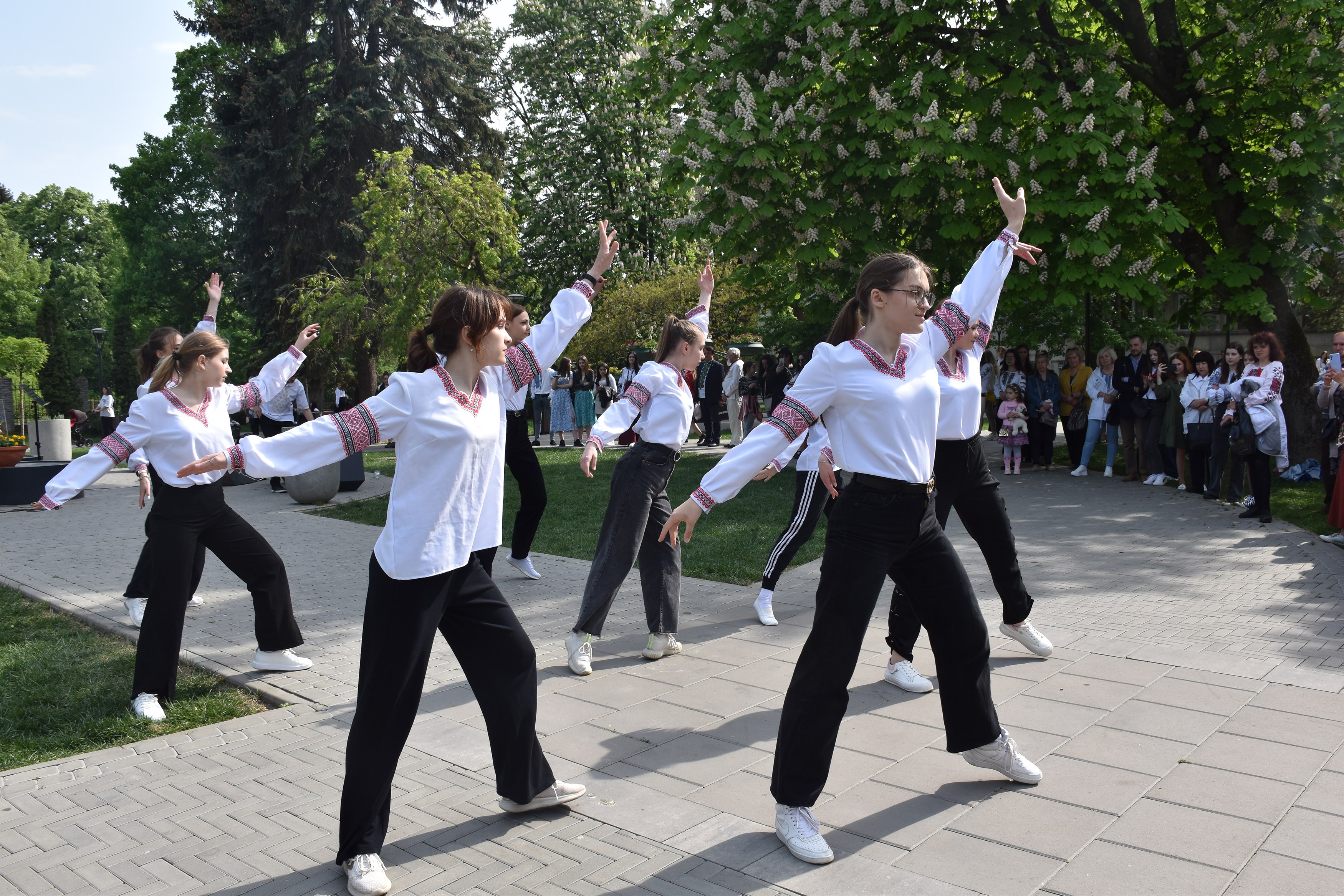 Світлина 33