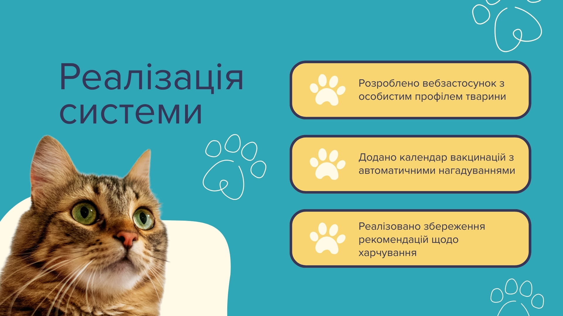 Світлина 6