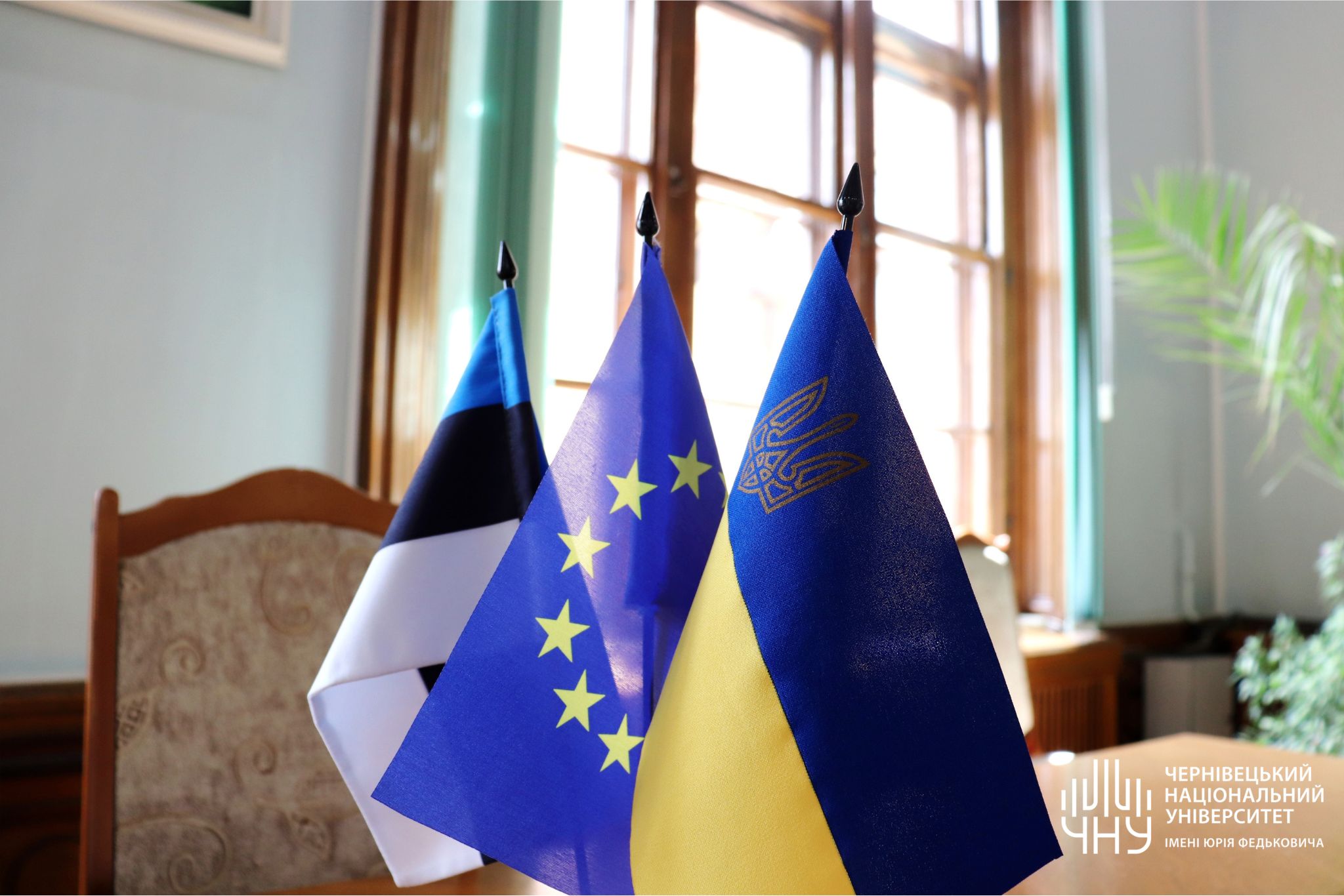 Світлина 6