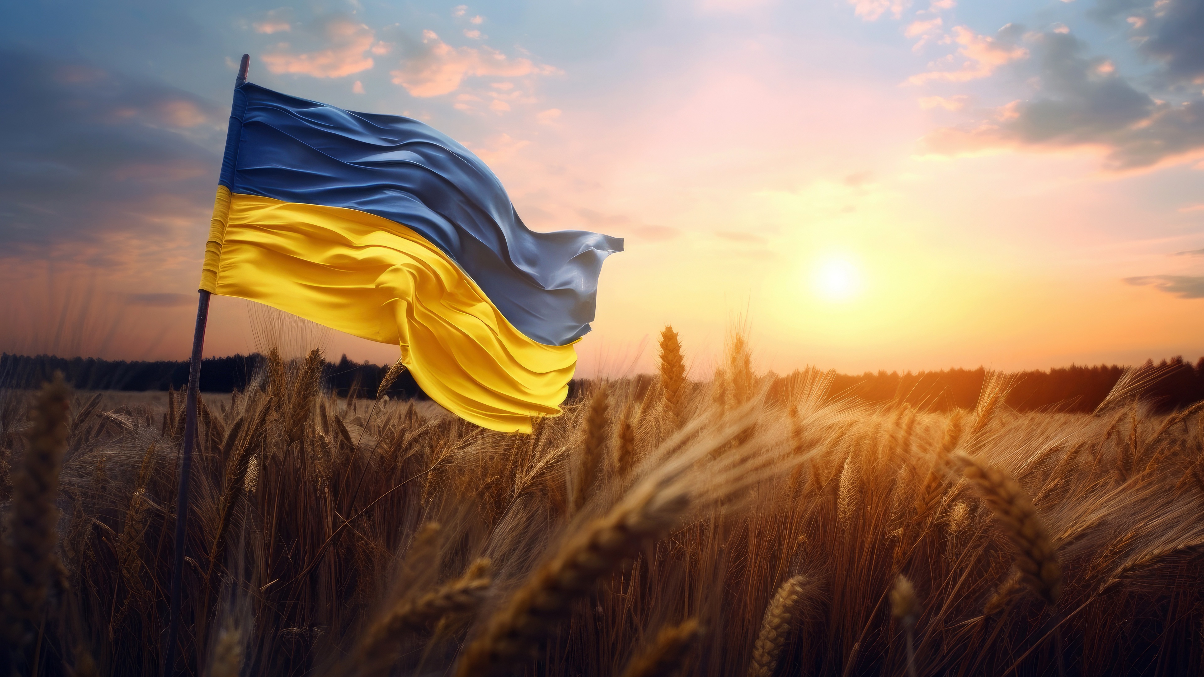 Вітання з Днем Незалежності України!