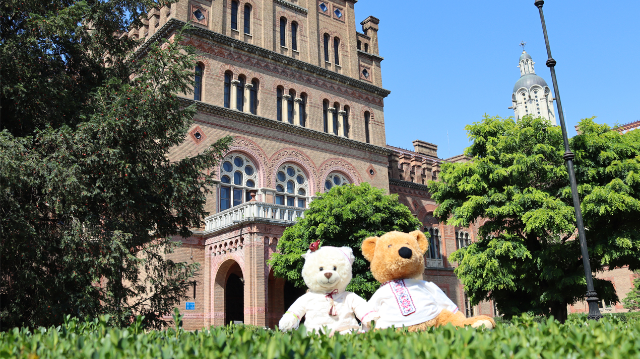 Teddy Bear Therapy Ukraine project у Чернівецькому національному університеті імені Юрія Федьковича