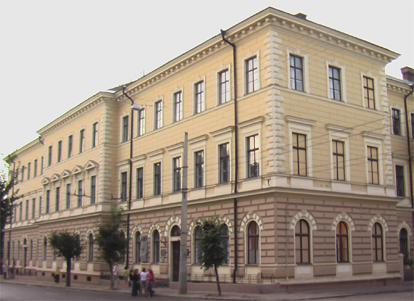 Світлина 3