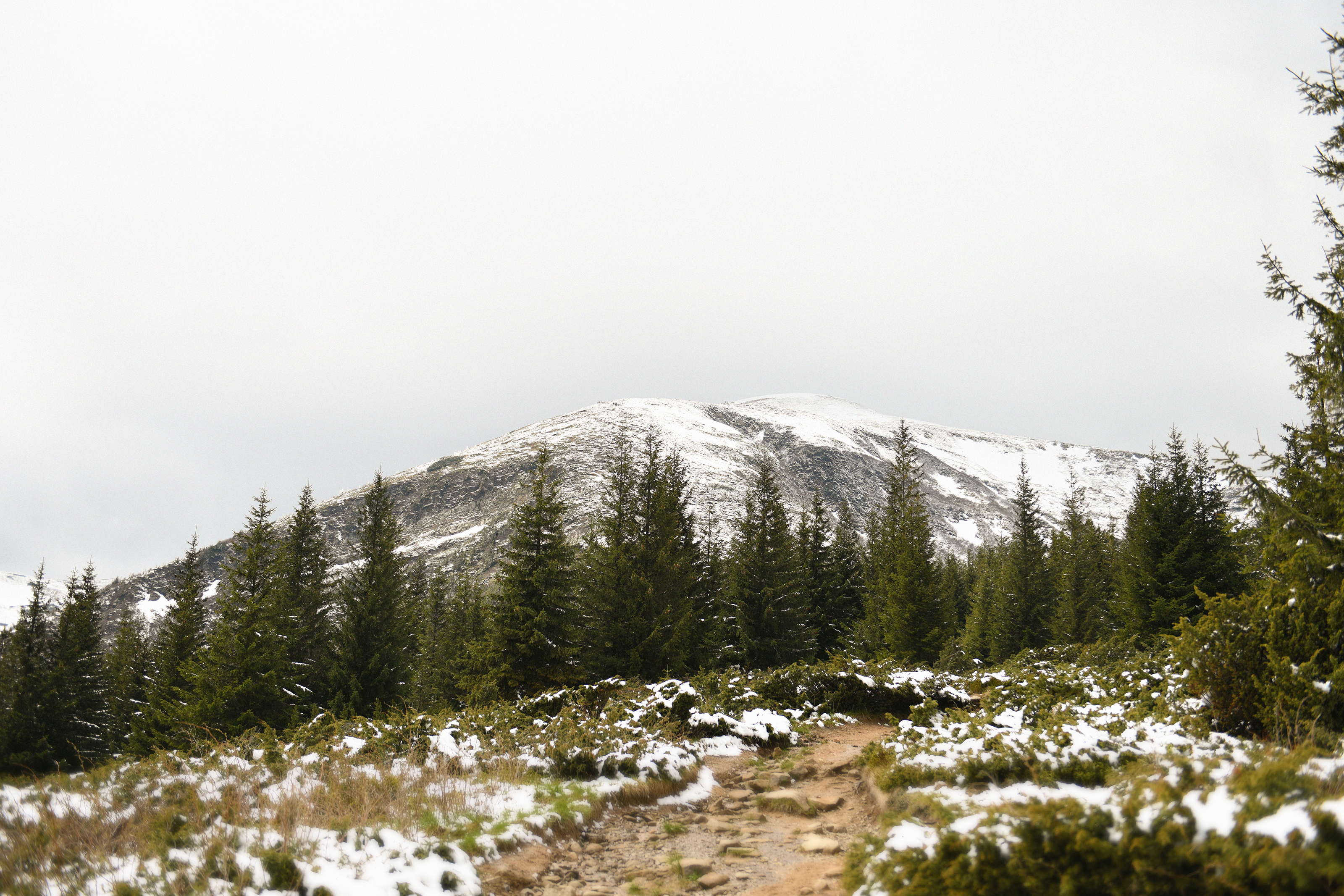 Прапор Чернівецького національного університету імені Юрія Федьковича – на найвищій вершині України