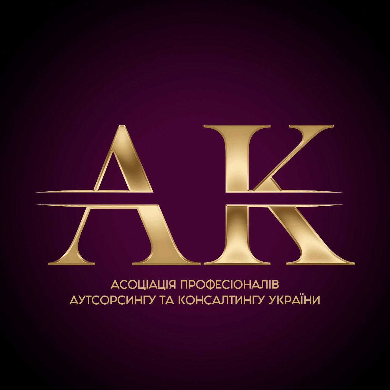 Громадська спілка «Асоціація Професіоналів Консалтингу та Аутсорсингу України»