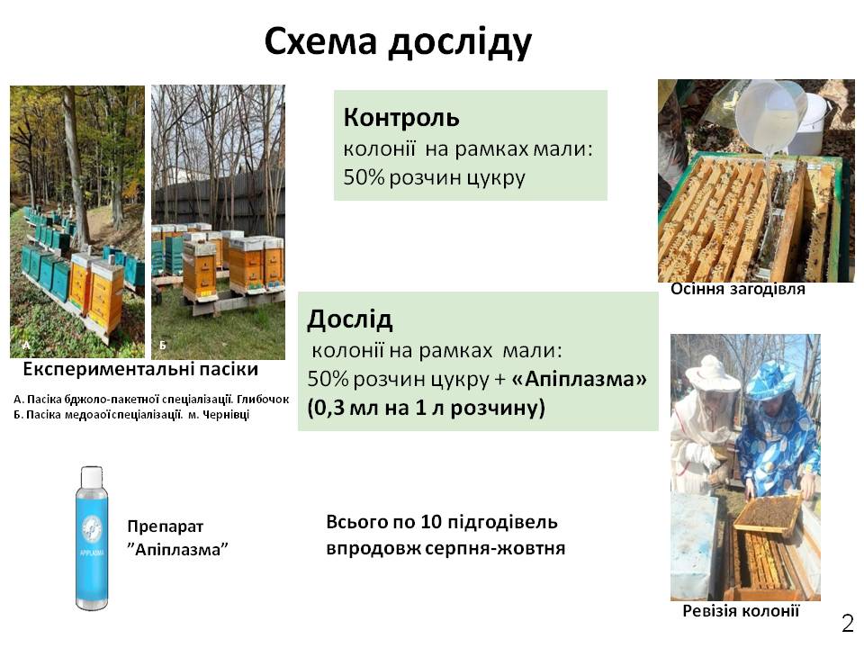 Світлина 2