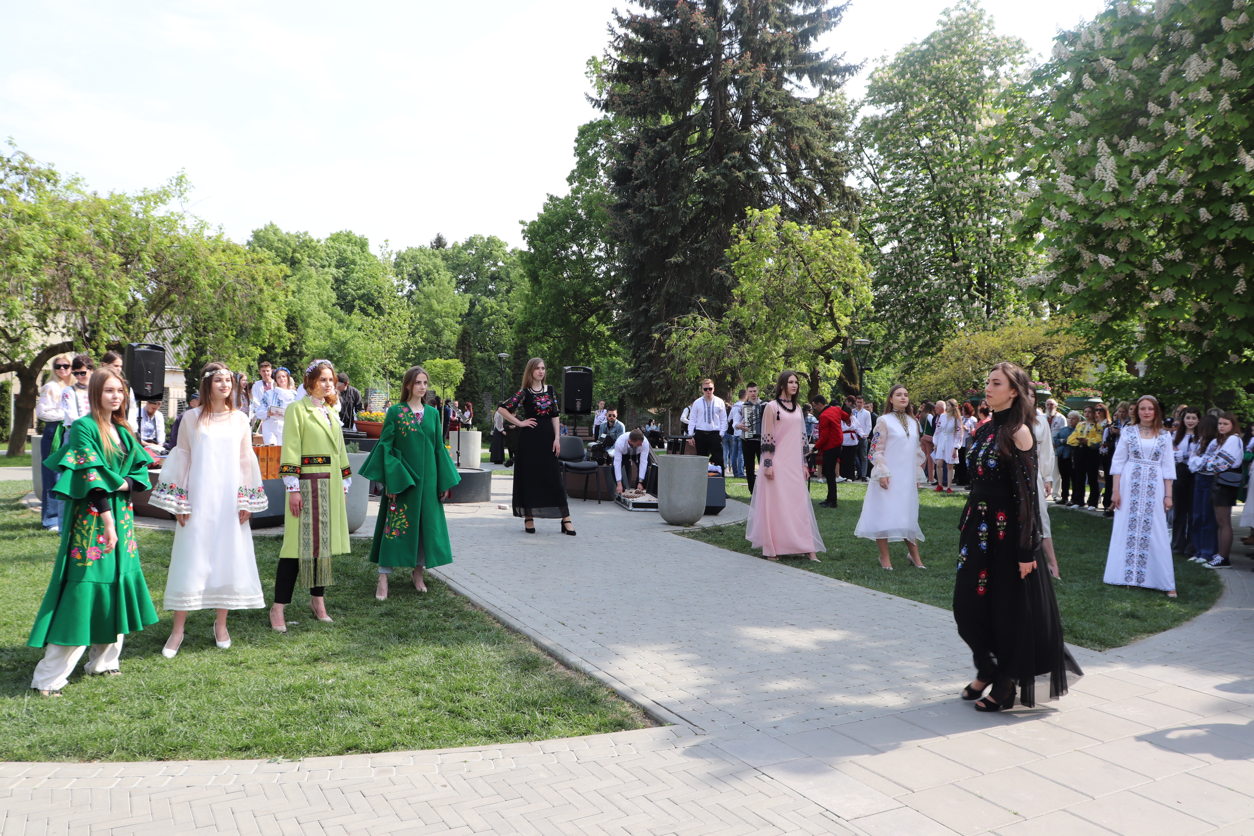 Світлина 8
