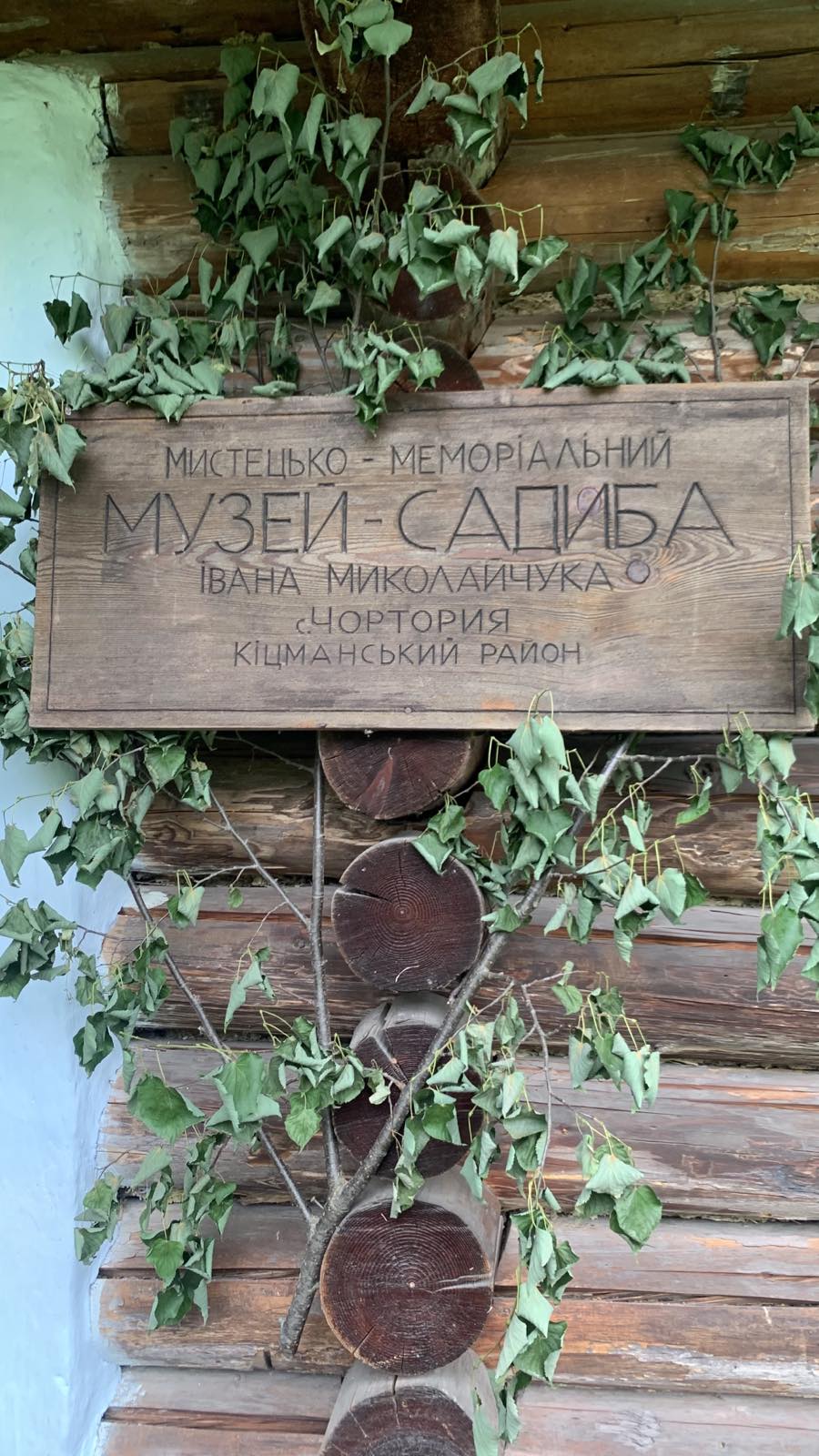 Світлина 10