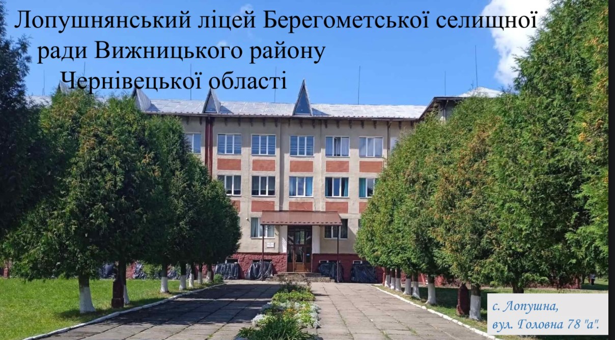Світлина 19