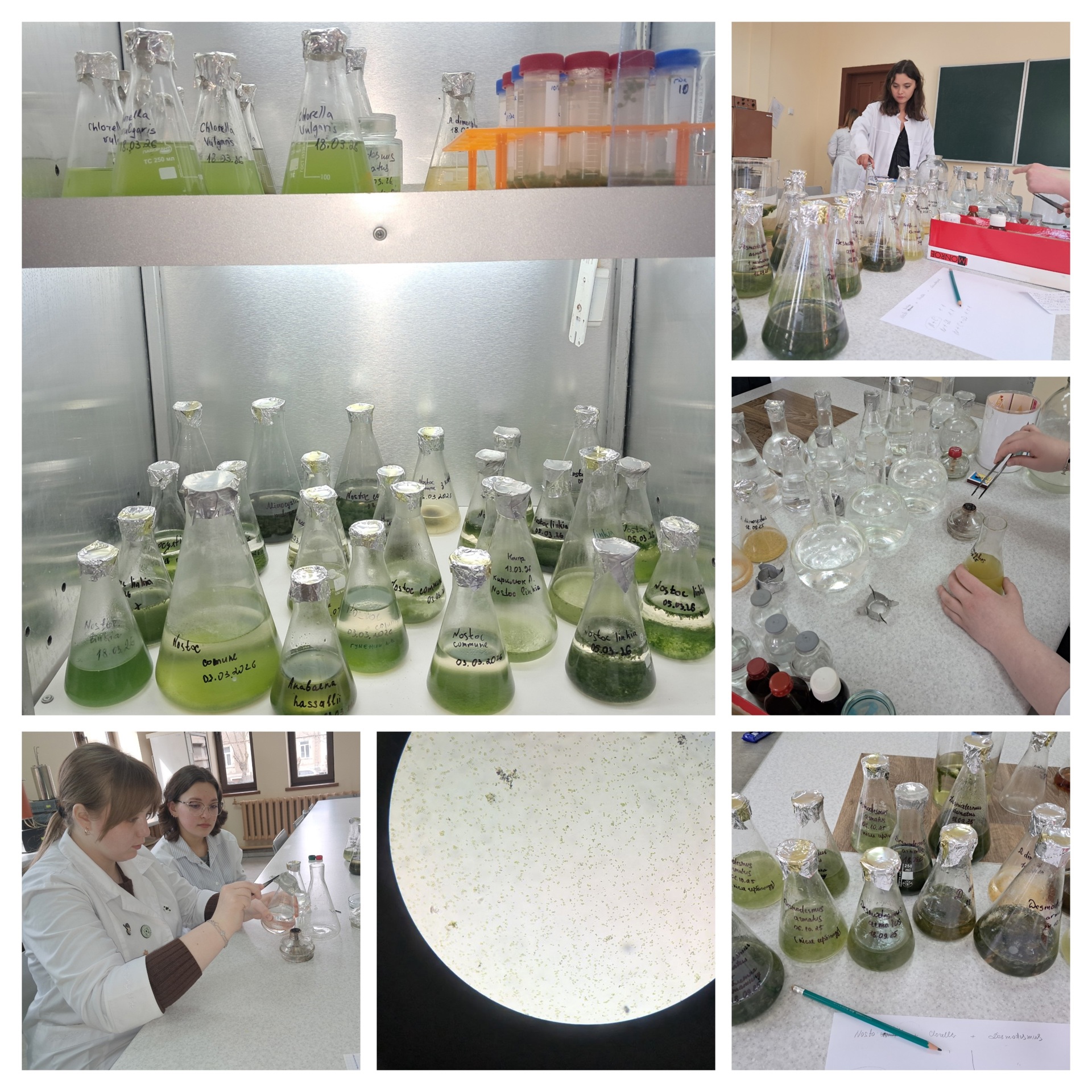 20260508_105219-COLLAGE.jpg